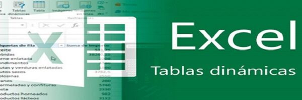 Tablas Dinámicas con Excel